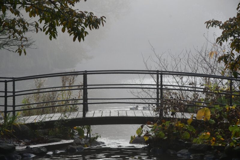 Photo of a bridge during foggy weather in autumn