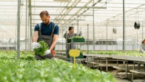 agriculture