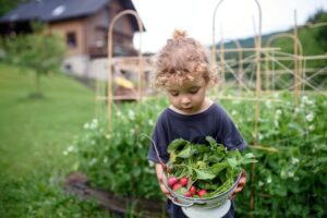 Portrait of small girl carrying radishes in vegetable garden, sustainable lifestyle.