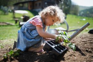 Small girl planting outdoors in garden, sustainable lifestyle concept