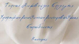Τοπικό Συμβούλιο Επιλογής ΔΕ Καστοριάς