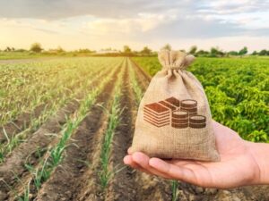 agriculture