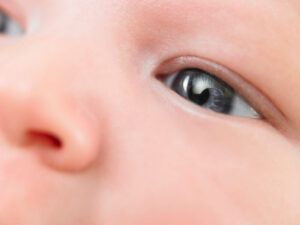 Close up of baby's eye