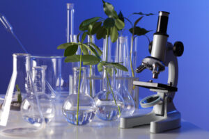 Green plants in biology laborotary