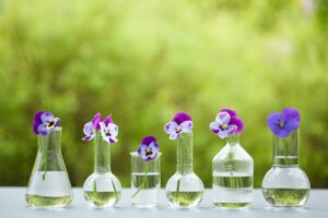 pansy flowers in chemical glassware, table decoration in garden