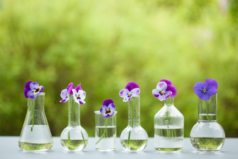 pansy flowers in chemical glassware, table decoration in garden
