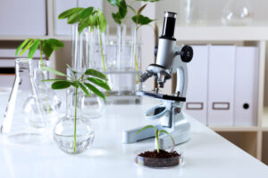 Green plants in biology laborotary