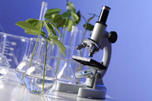 Green plants in biology laborotary
