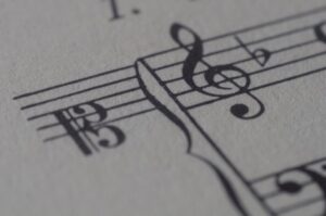 Macro score