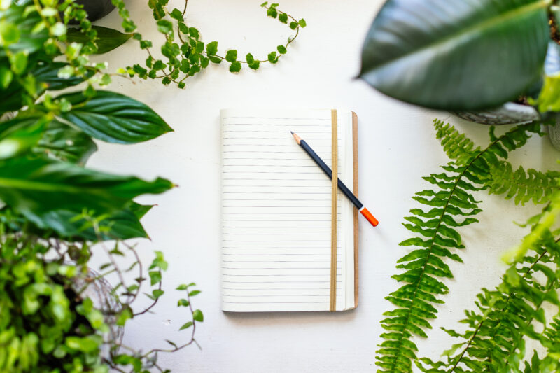 Notebook and plants