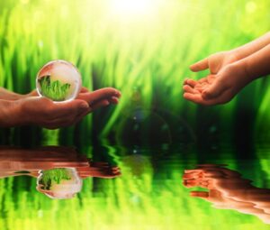 environmental conservation