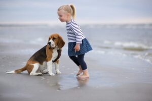 dog lover