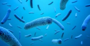 3d illustration of rod- shaped bacteria
