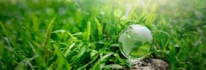 Crystal ball on moss in green forest - environment concept Ecology and Sustainable Environment